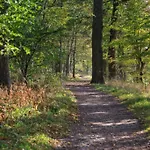 Hotel Ostseehotel Rike 3*