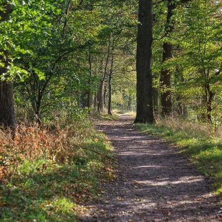 Hotel Ostseehotel Rike 3*