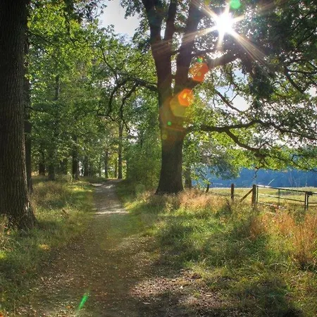 Ostseehotel Rike Hotel Zierow