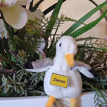 Ostseehotel Rike Hotel 3*