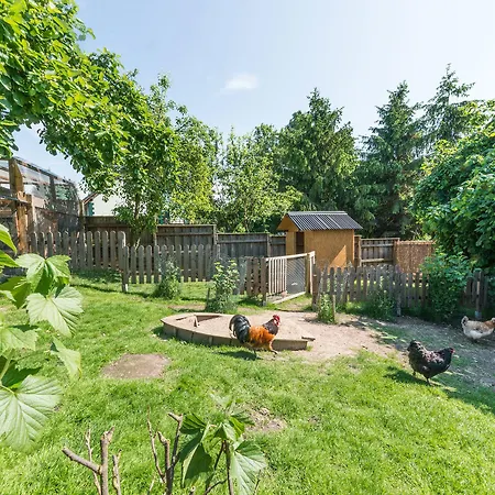 Ostseehotel Rike Zierow