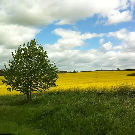 Ostseehotel Rike Hotel 3*