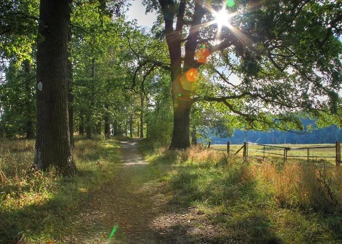 Ostseehotel Rike Hotel Zierow